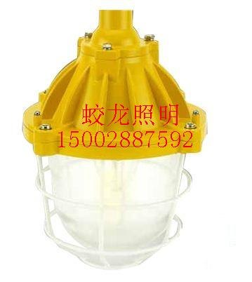 供应隔爆型防爆灯-隔爆型防爆灯厂家-隔爆型防爆灯价格