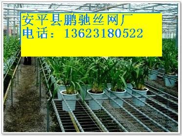 供应邯郸热镀锌苗床网生产厂家 热镀锌苗床网供应信息 生产地河北衡水