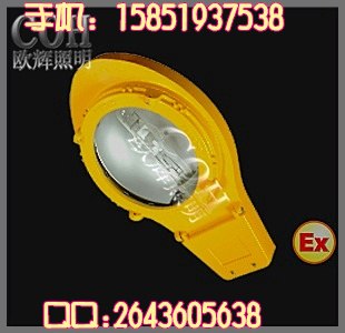 供应BLC8610 防爆道路灯,优质低价防爆道路灯，海洋王防爆道路灯