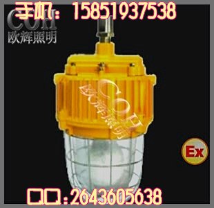 供应BPC8731 防爆无极灯,高效防爆节能无极灯，防爆无极灯哪里好