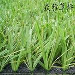 供应球场草皮 人工草皮 运动地垫 人造草皮 人造运动草