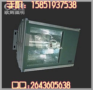 供应NSC9200隧道灯,双光源无极隧道灯厂家,防爆防水防腐防尘隧道灯价格