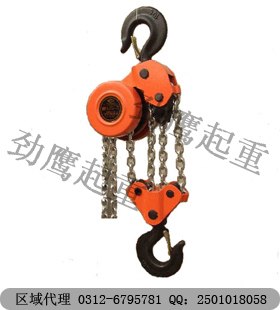 供应群吊环链电动葫芦厂家 群吊爬架电动葫芦厂家劲鹰公司值得信赖