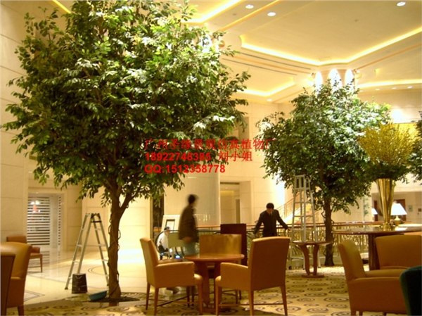 供应庆缘景观仿真植物款式新颖 仿真椰子树海藻树棕榈树 榕树
