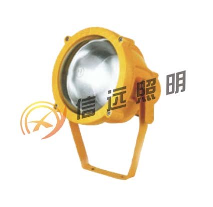 防爆投光灯 BTC8200  
