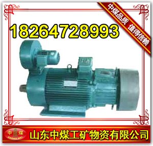 供应 YB高压防爆三相异步电动机YB450S2-4三相异步电机 YB高压防爆