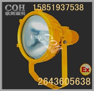 供应【EBF603】防爆投光灯,防爆投光灯EBF603价格，光大防爆投光灯
