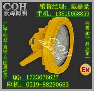供应BFC8184隔爆型LED投光灯
