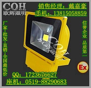 供应BFC8188B防爆泛光灯