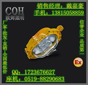 供应BFC8920内场粉尘防爆灯