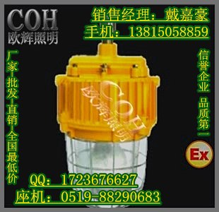 供应BPC8731防爆无极灯