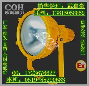 供应BTC8210防爆投光灯250W防爆投光灯