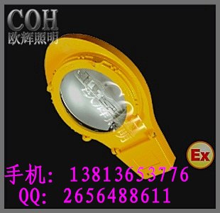 供应【BLC6217】防爆道路灯