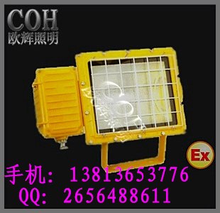 供应【BTC6150】防爆泛光灯，大面积泛光照明灯 供应批发