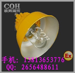 供应【BYC6218A】防爆道路灯
