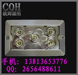 供应【NFW9189】固态免维护顶灯,LED大功率免维护顶灯