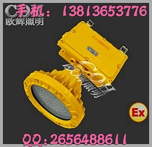 供应BFE8184_LED防爆应急灯,专业LED防爆厂家