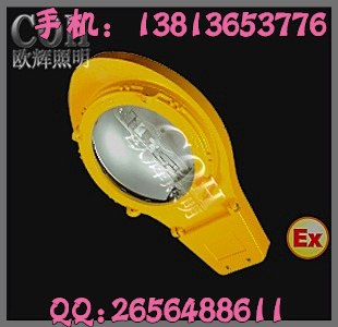 供应BLC8610 防爆道路灯,专业防爆平台灯.通路灯厂家