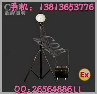 供应FW6100GF-J 防爆泛光工作灯，防爆泛光工作灯，防爆泛光工作灯