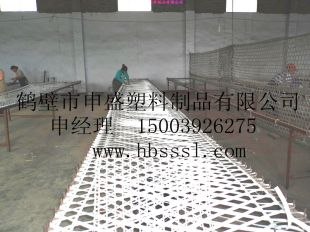 供应再生塑料网  阻燃塑料网  