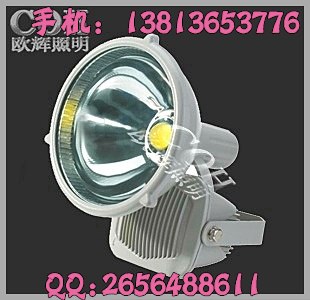 供应NTC6901 LED防水防尘防震投光灯 LED长寿节能投光灯