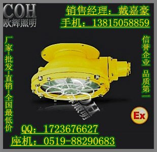 供应BCW6219防爆顶灯