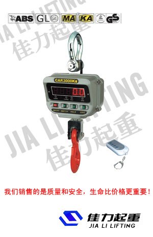 供应OCSA高精度电子吊秤