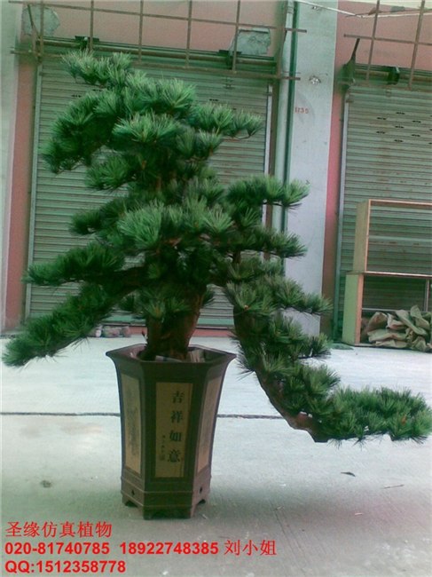 供应仿真松树仿真度高的仿真松树仿真桃树仿真盆景仿真芭蕉