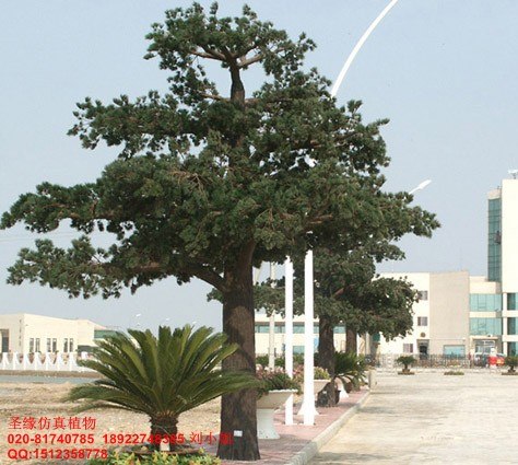 供应仿真植物仿真松树仿真松柏树仿真树仿真松树批发