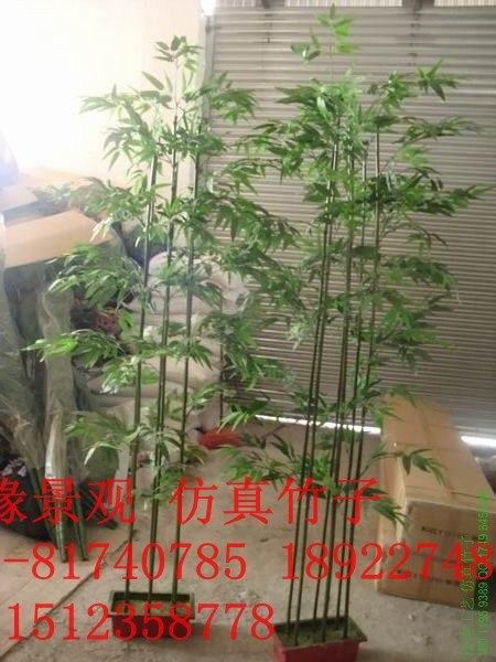供应仿真椰子树仿真竹子仿真果树仿真树枝仿真椰子树