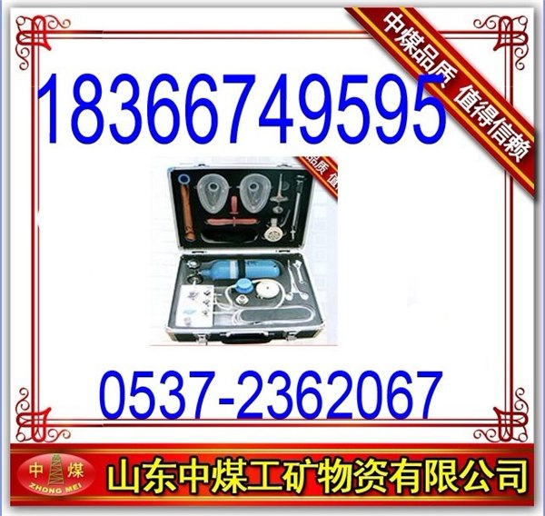 供应MZS30矿用自动苏生器