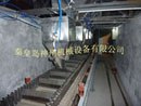 供应BB肥设备  大倾角计量型