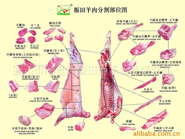 供应济南批发羊内猪内牛内鸡内鸭内兔内尤鱼带鱼