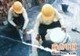 供应常平卫生间补漏横沥楼面防水隔热橫沥外墙防水补漏清洁