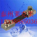 供应安徽FL-2国内型分流器100A：75MV