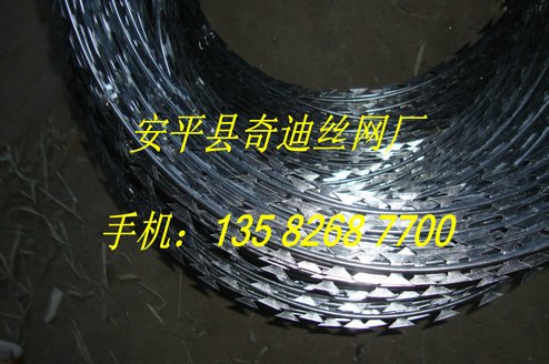 供应不锈钢蛇腹式刀刺网304刀片网