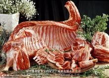 供应冷冻羊进口冻食品批发 