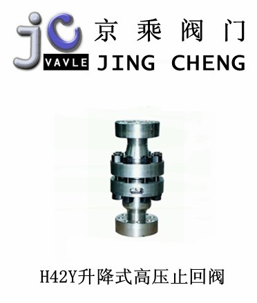 供应H42Y升降式高压止回阀