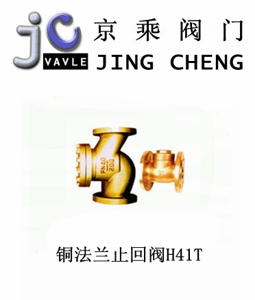 供应铜法兰止回阀H41T