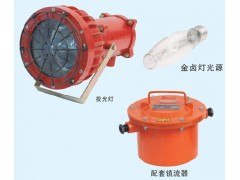 供应DGC175/127B（A），矿用投光灯，防爆投光灯，175W投光灯