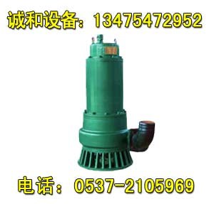 供应BQS(BQW)隔爆潜水电泵