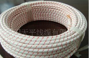 供应耐高温制冷电机引出线