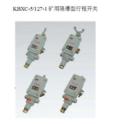 供应KBX-5/63矿用隔爆型行程开关-柱塞式 一常开，一常闭