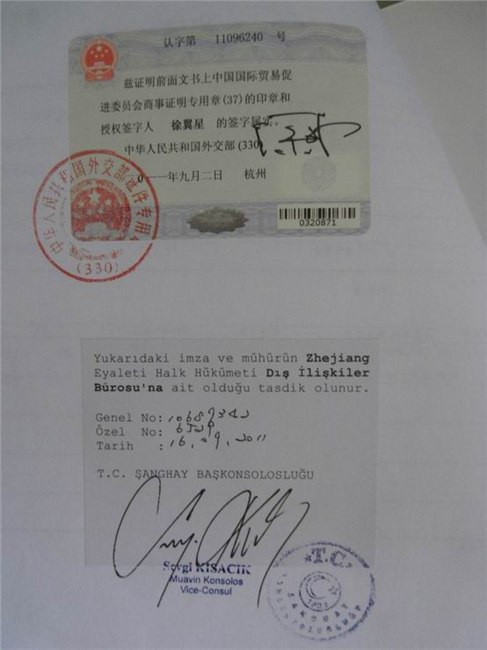 供应批量办理登记表使馆加签