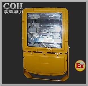 供应BFC8110 防爆泛光灯，LED防爆泛光灯，LED防爆灯