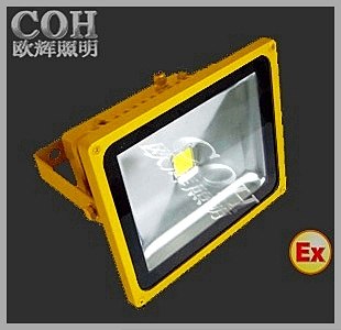 供应BFC8188_LED防爆投光灯  LED长寿灯，LED防爆聚光灯