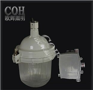 供应NFC9112防眩泛光灯 分体式的泛光灯，LED防眩泛光灯