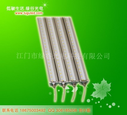 供应绿谷大功率洗墙灯LED霓虹灯