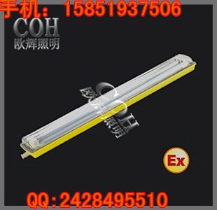 供应粉尘防爆防腐单管荧光灯