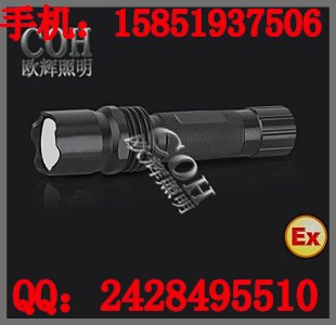 供应远程防爆手电长寿高效防爆电筒